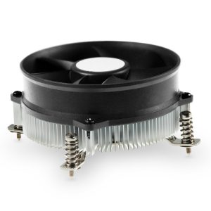 fanecni01l m 62788.1443049868.1280.1280.jpg