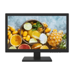 ds d5019qe b monitors 34642555240612.png