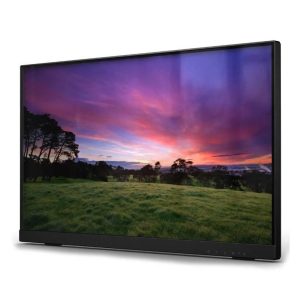 h2153t monitors 52923200995695.jpg