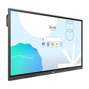 Professional Displays