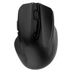 1 10.webp