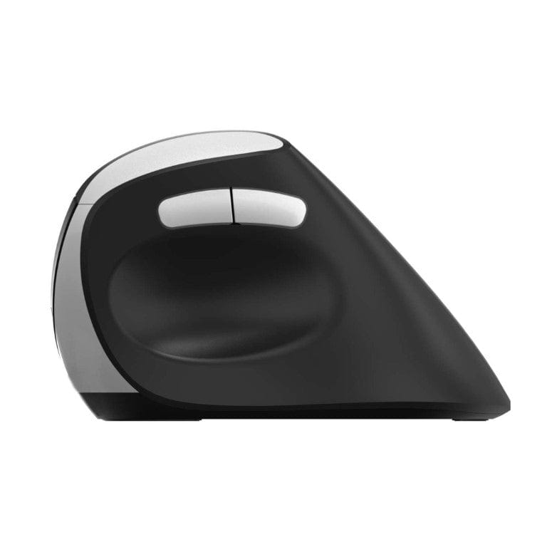 rapoo ev250 ergonomic wireless mouse rapoo ev250 ergonomic wireless mouse