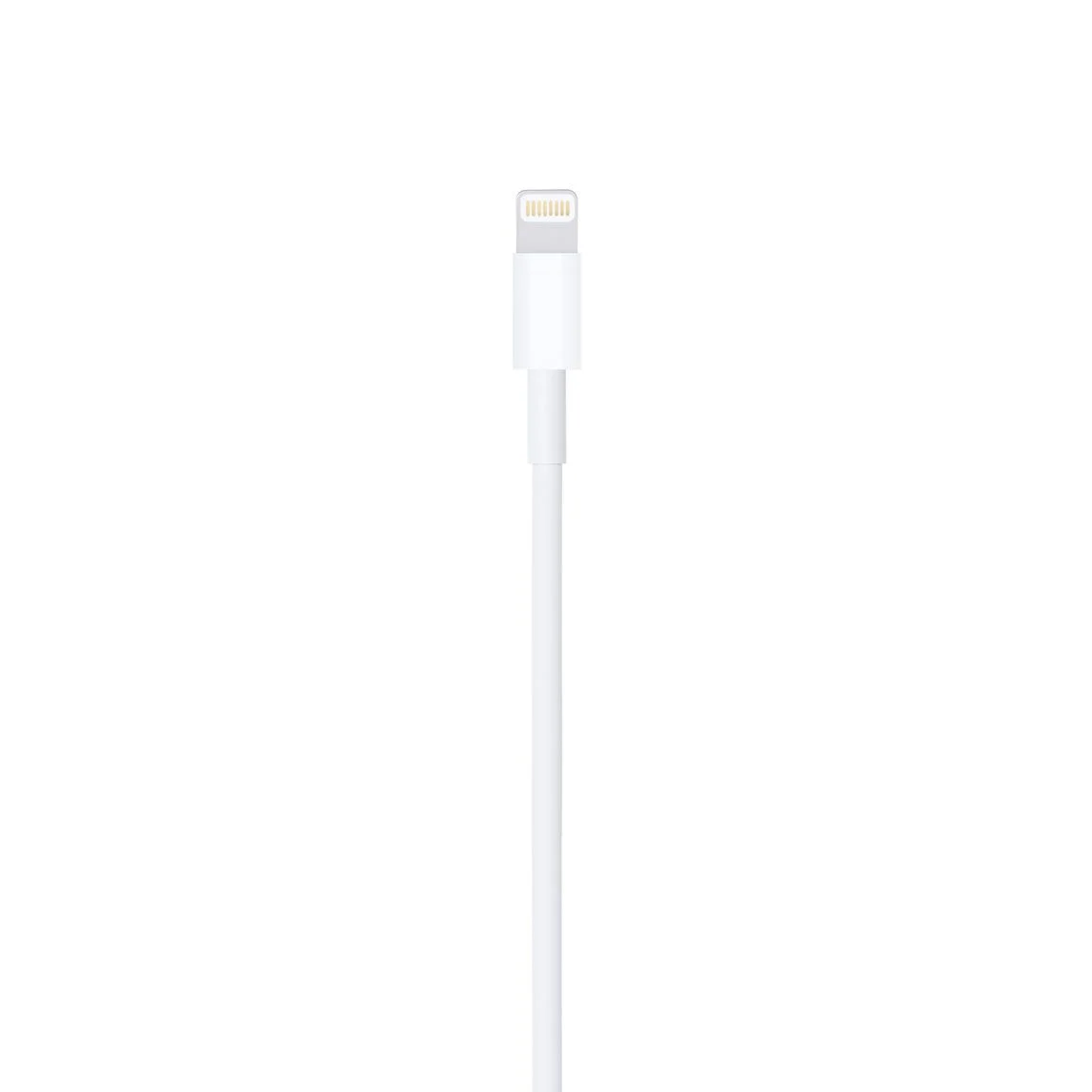 lightning to usb cable (1m) lightning to usb cable (1m)